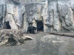 -南昌动物园