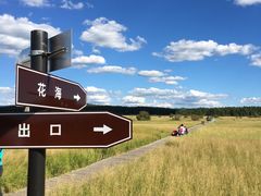 -塞罕坝国家级自然保护区