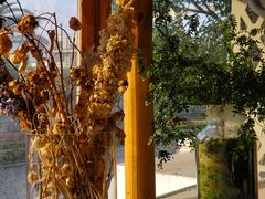 -野草莓自由市场