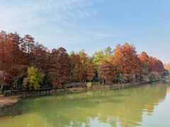-东湖落雁景区