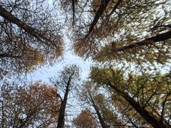 -艾溪湖湿地公园