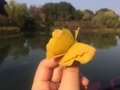 -白塘生态植物园