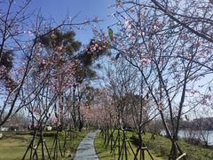 -福建鲤鱼洲酒店