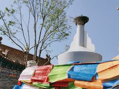 -大召无量寺