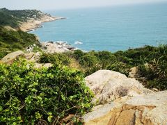 -广东惠东海龟国家级自然保护区