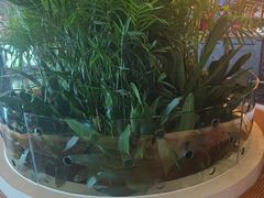 -润园四季椰子鸡火锅(海上世界店)