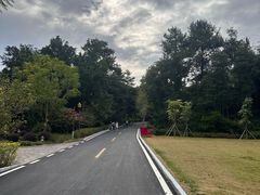 -广州市流溪河国家森林公园