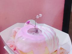 -狐狸和向日葵(北京路店)