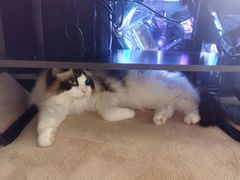 -零纪元VR体验馆·桌游(黄浦店)