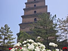 -大慈恩寺(大雁塔)