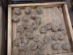 -包道广式点心专门店(振业店)