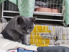 -宠颐生汉谟拉比宠物医院