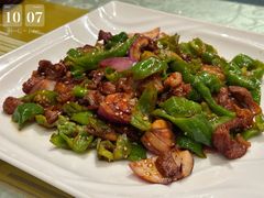 -喀什骑仕大观园