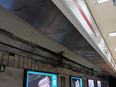 -大望路(地铁站)