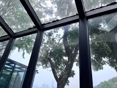 -食膳公园包子铺(烈士公园店)