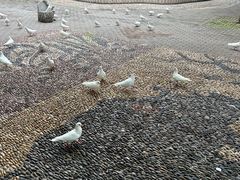 -赭山公园