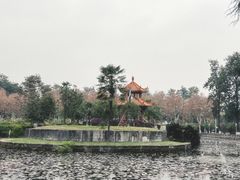 -四川大学(望江校区)