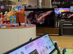 -Sony Store 索尼(来福士店)