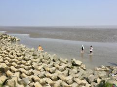 -南汇嘴观海公园