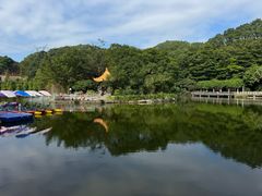 -广州市帽峰山景区