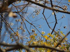 -白塘生态植物园