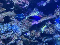 -大连老虎滩海洋公园