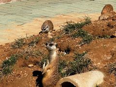 -秦皇岛野生动物园