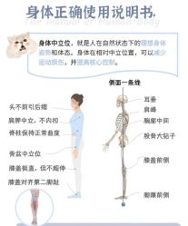 -AN普拉提女子健身工作室