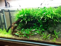 -百好乐宠物友好餐厅(朝外大街店)