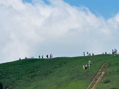 -大姆山草场
