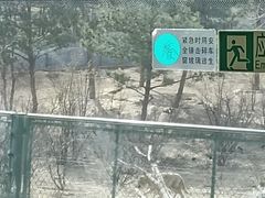 -太原动物园