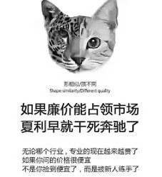 -kidsland(南开大悦城店)