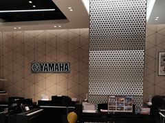 -知音艺术教育培训·钢琴培训·音乐培训(河西金鹰世界校区)