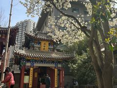 -罔极寺