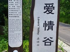 -红崖峡谷景区