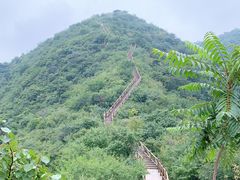 -大岭沟猕猴桃谷风景区