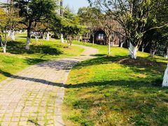 -太湖湖滨国家湿地公园-停车场
