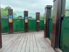 -宁波杭州湾国家湿地公园