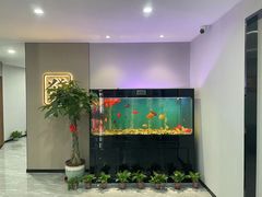 -星悦汇棋牌(徐泾店)
