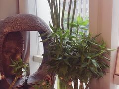 -森野花艺培训·企业团建活动沙龙