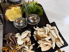 -蘑统田下·野生菌火锅