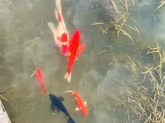 -雅达·阳羡溪山小镇中心