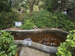 -林丰温泉度假山庄