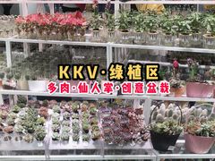 -KKV(深圳宏发大仟里店)