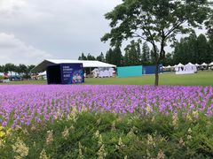 -歌斐颂巧克力小镇