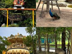 -灵玲国际马戏城