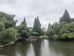 -上海滨江森林公园
