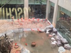 -麒麟中餐厅·经典粤菜·地道菜式老字号(广州长隆酒店)