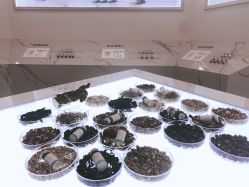 -采之汲·云南白药集团