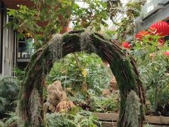 -沈阳植物园